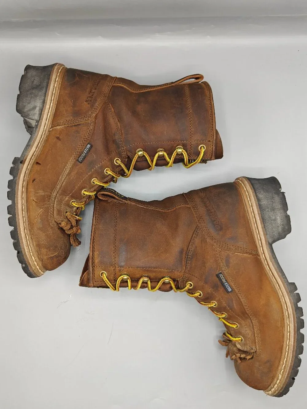 Carolina Elm 8” CA9821 Waterproof Steel Toe Logger Boots Men's Size 9.5 EE